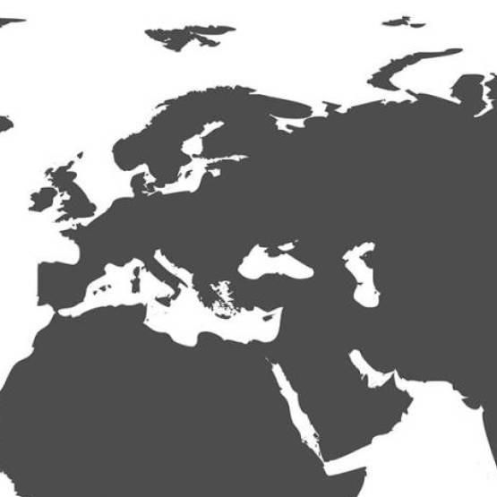 Pool House Equine Clinic