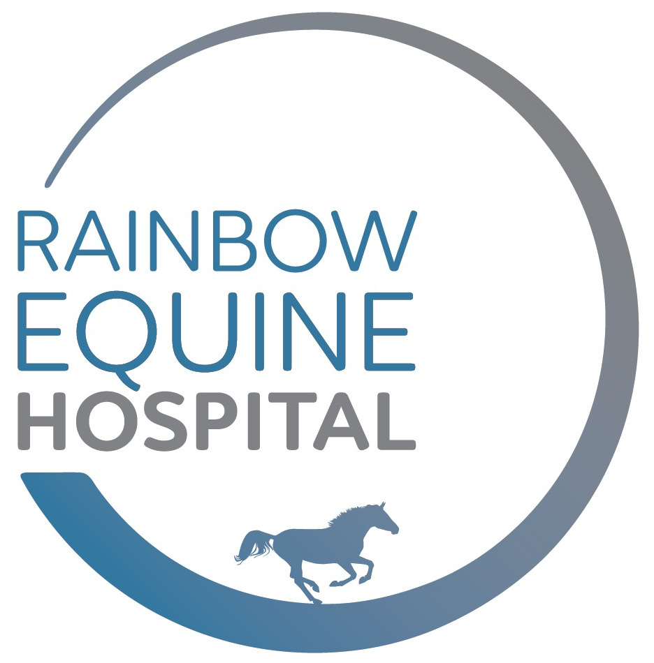 Rainbow Equine